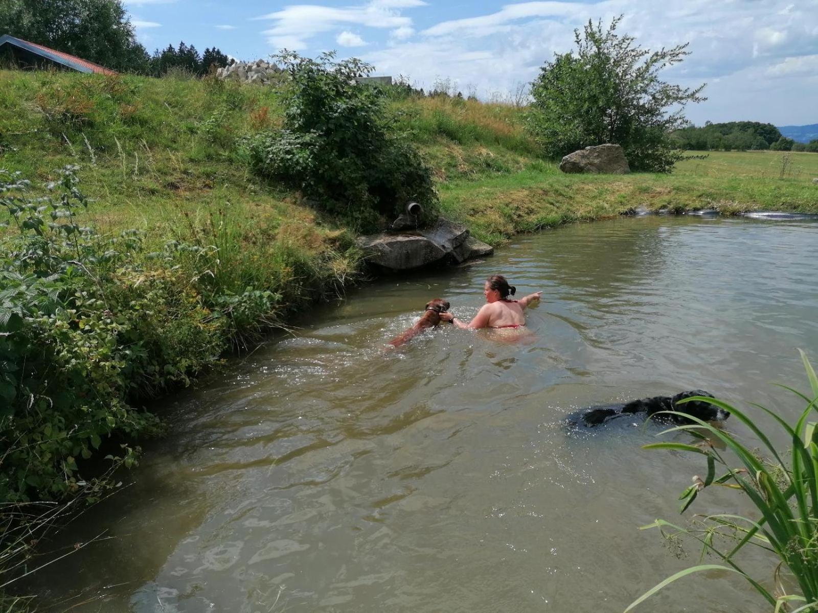 SchöfwegWild Life Ranch别墅 外观 照片